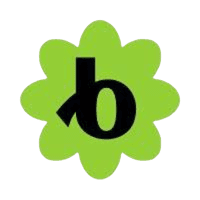 Bloomerang Logo